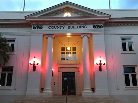Pink Historic County Building - website.jpg