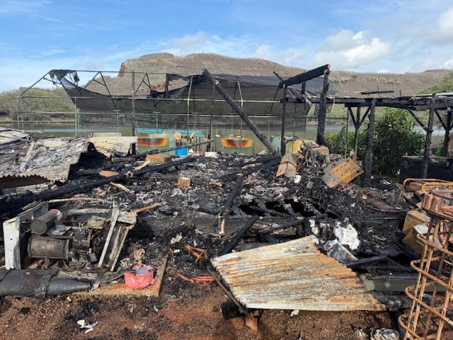 Structure damaged in Kalāheo structure fire.