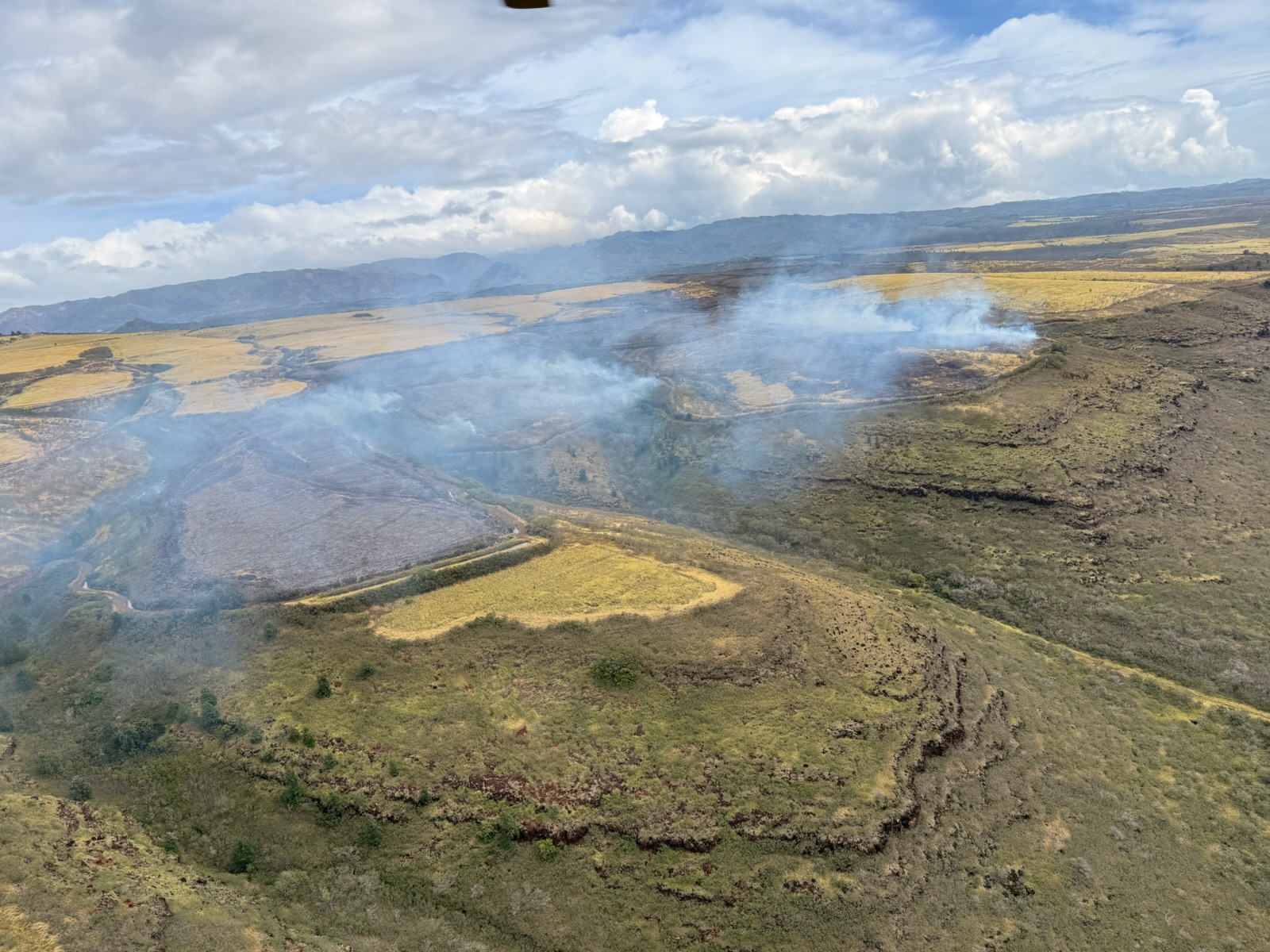 Aerial view of March 8 brush fire in Waimea from Air 1.