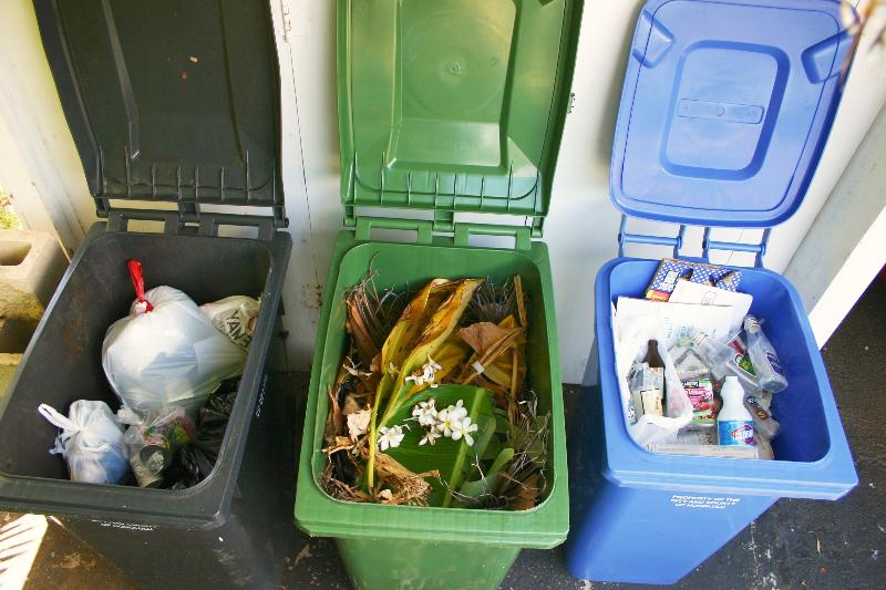 trash cart, green waste cart and recycling cart