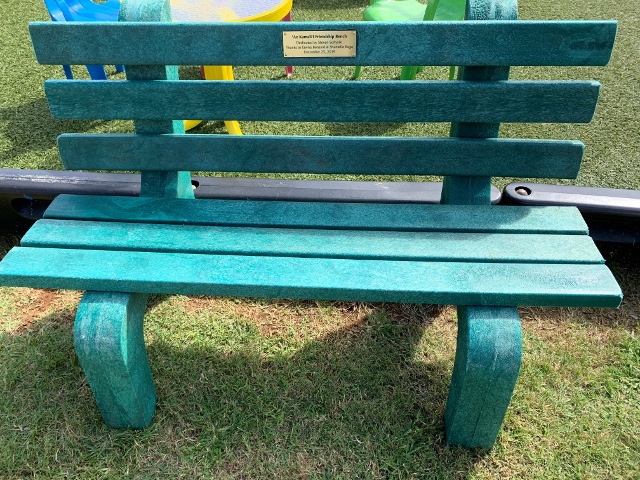 whole friendship bench