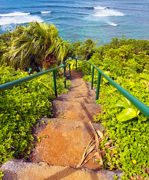 Kaumumene Trail