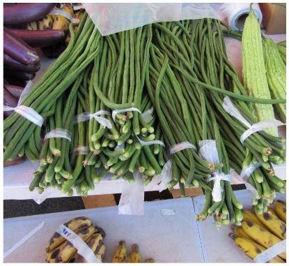 bushels of green beans