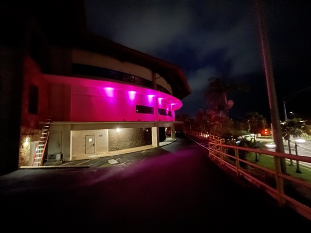 Pink Rotunda website.jpg