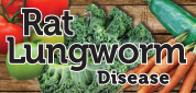 Rat Lungworm Disease