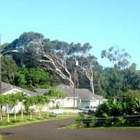 photo of Hale Kupuna community