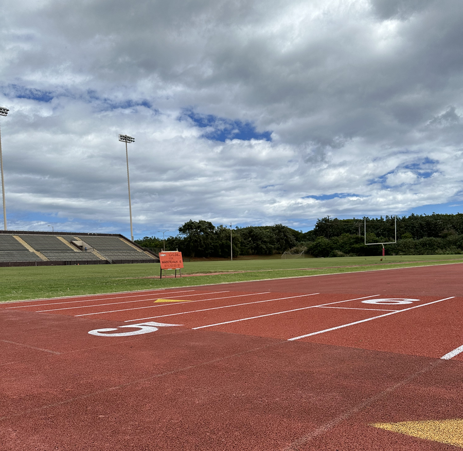 Photo of Vidinha Stadium.