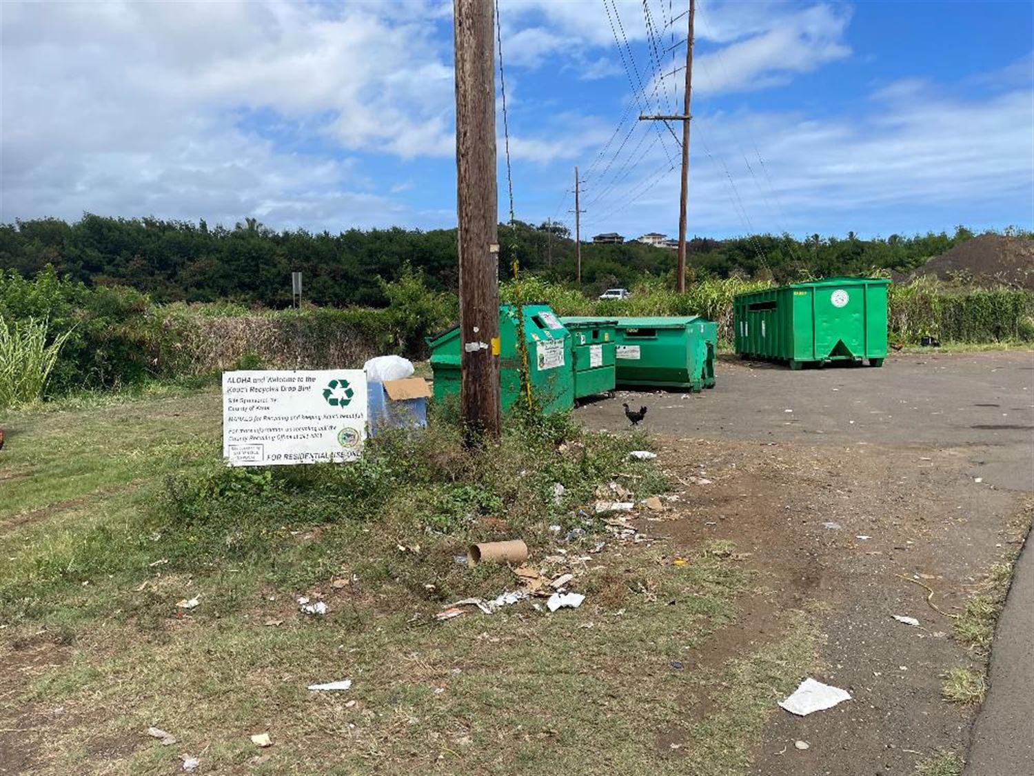 kapaa-2024-3.jpg