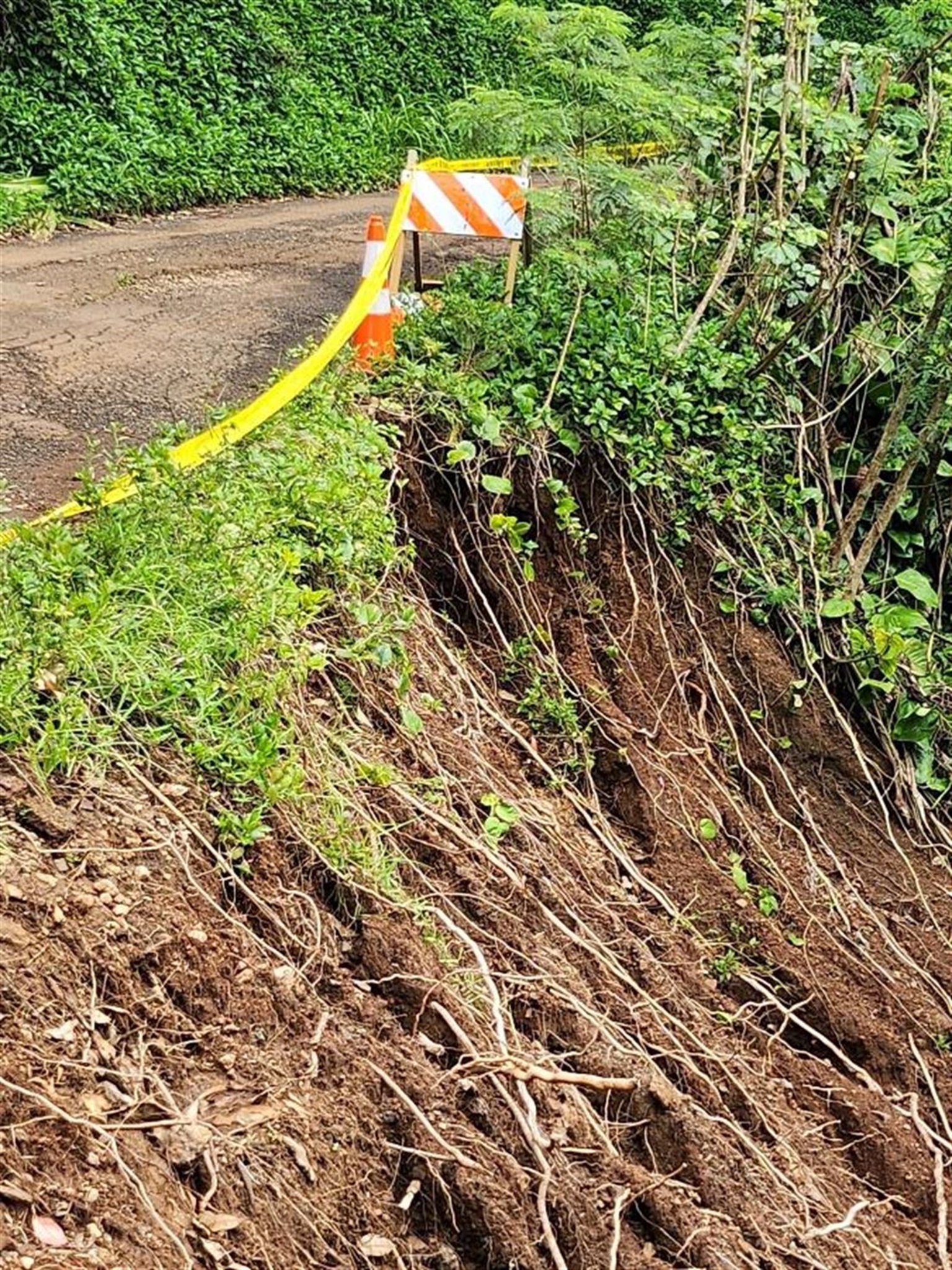 Wawae Road erode.jpg
