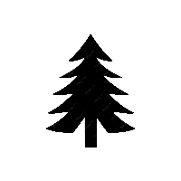 pine tree icon