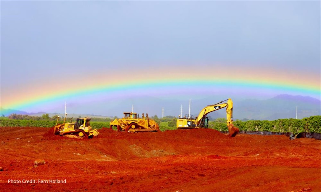 Rainbow photo - Fern Holland - Honua
